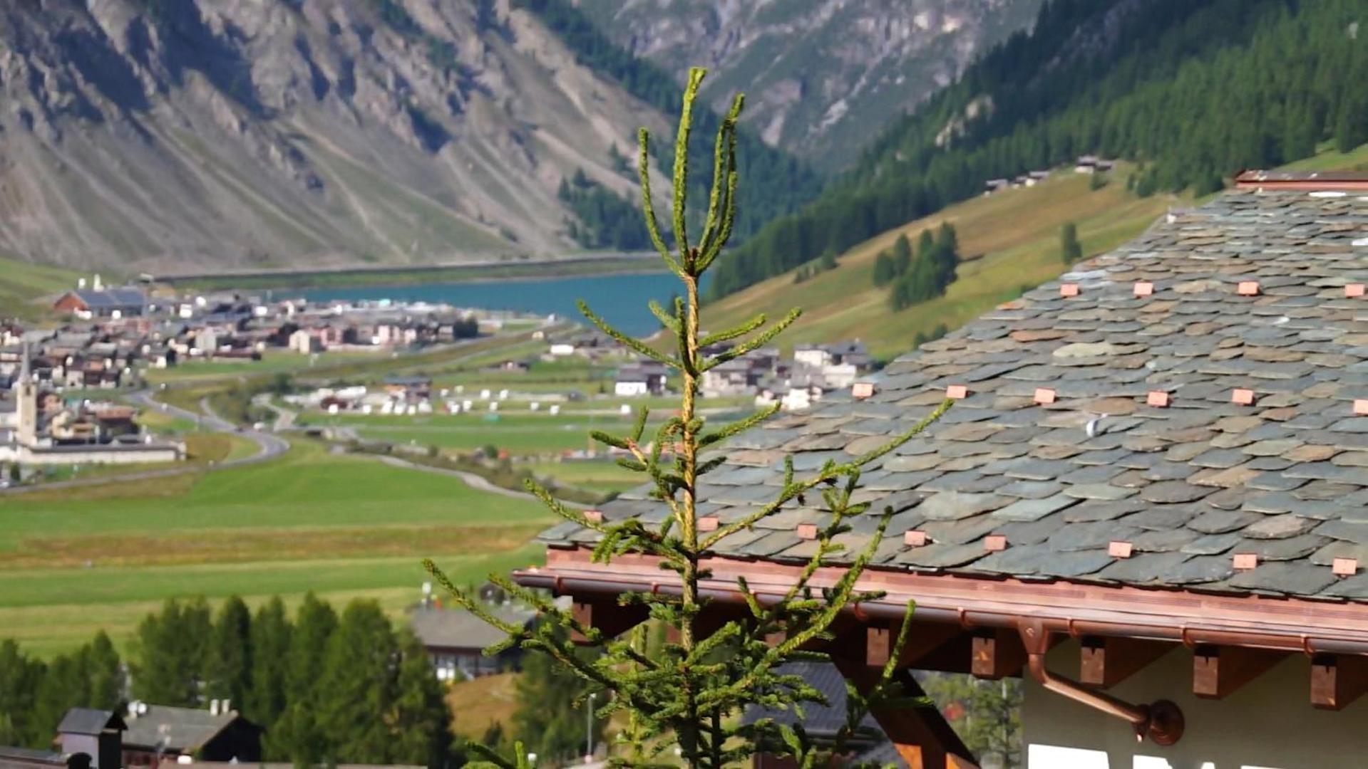 Chalet Elena Lägenhet Livigno Exteriör bild